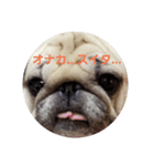 pugpugpuriko（個別スタンプ：2）