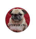 pugpugpuriko（個別スタンプ：5）