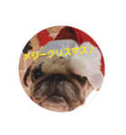 pugpugpuriko（個別スタンプ：14）