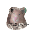 愛すべき生き物たち（個別スタンプ：5）