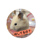 ハムちゃんたちとともに。日常生活スタンプ（個別スタンプ：4）