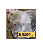ハムちゃんたちとともに。日常生活スタンプ（個別スタンプ：8）