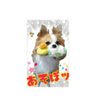 happy dog2（個別スタンプ：1）