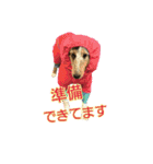 happy dog2（個別スタンプ：8）