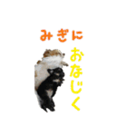 happy dog2（個別スタンプ：9）