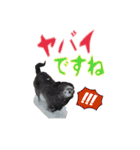 happy dog2（個別スタンプ：14）