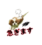 happy dog2（個別スタンプ：22）