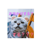 だらけネコ（個別スタンプ：5）