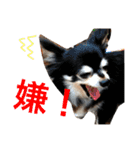 ちんとぷぅ（個別スタンプ：8）