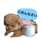 ちんとぷぅ（個別スタンプ：12）