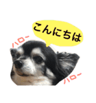 ちんとぷぅ（個別スタンプ：17）