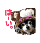 ちんとぷぅ（個別スタンプ：20）