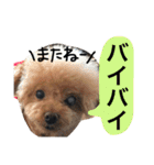 ちんとぷぅ（個別スタンプ：21）