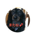 cota＆coby（個別スタンプ：14）