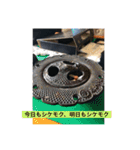 斉藤マキシのお金無いスタンプ（個別スタンプ：9）