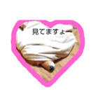 チョコレらぶ（個別スタンプ：7）