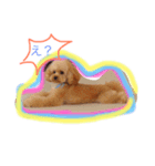 puddle2018（個別スタンプ：1）