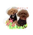 puddle2018（個別スタンプ：2）