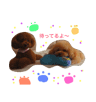 puddle2018（個別スタンプ：4）