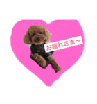 puddle2018（個別スタンプ：6）