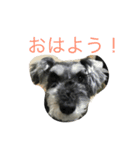 鈴木らんぼー（個別スタンプ：2）
