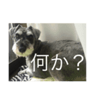 鈴木らんぼー（個別スタンプ：3）