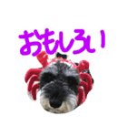 鈴木らんぼー（個別スタンプ：10）