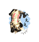 可愛い子猫 ちゃちゃ＆レン（個別スタンプ：19）