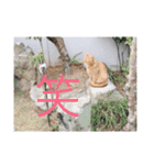 はむとねこ2（個別スタンプ：23）