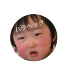 Odai Family（個別スタンプ：6）
