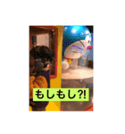 yukaina-nakama（個別スタンプ：3）