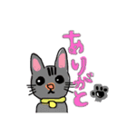 毎日にゃんこ。（個別スタンプ：7）