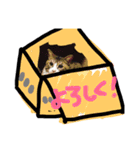 毎日にゃんこ。（個別スタンプ：11）