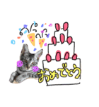 毎日にゃんこ。（個別スタンプ：15）