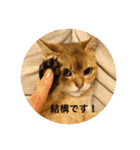 ロッタひめまる（個別スタンプ：5）