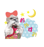 Hime Stamp...（個別スタンプ：2）