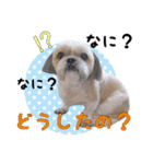 Hime Stamp...（個別スタンプ：4）