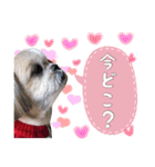 Hime Stamp...（個別スタンプ：5）