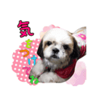Hime Stamp...（個別スタンプ：10）
