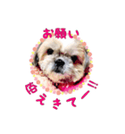 Hime Stamp...（個別スタンプ：12）