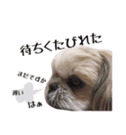 Hime Stamp...（個別スタンプ：13）