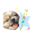 Hime Stamp...（個別スタンプ：14）