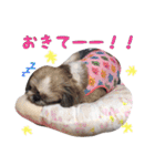 Hime Stamp...（個別スタンプ：15）