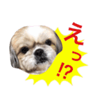 Hime Stamp...（個別スタンプ：19）