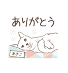 猫大好き【あきこ】北欧風名前スタンプ（個別スタンプ：10）