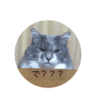 むーちむ（個別スタンプ：2）