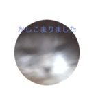 むーちむ（個別スタンプ：4）