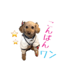 マク  メモリアル4（個別スタンプ：3）