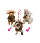 マク  メモリアル4（個別スタンプ：6）
