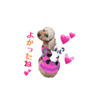 マク  メモリアル4（個別スタンプ：18）